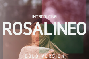 Rosalineo Bold: A Modern Take on a Classic Typeface