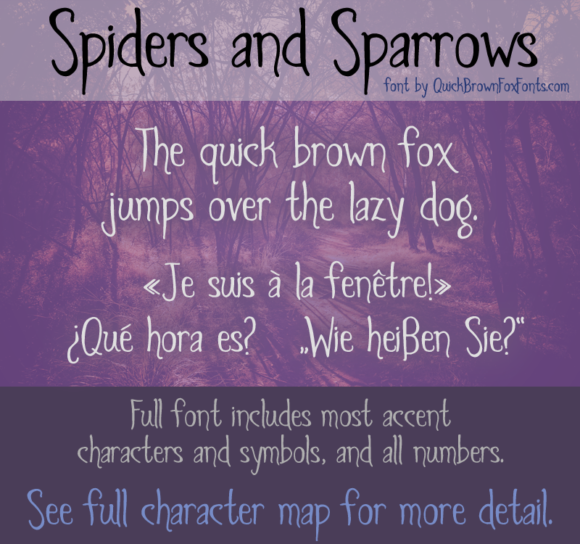 Spiders and Sparrows: A Playful Exploration of Design and Meaning